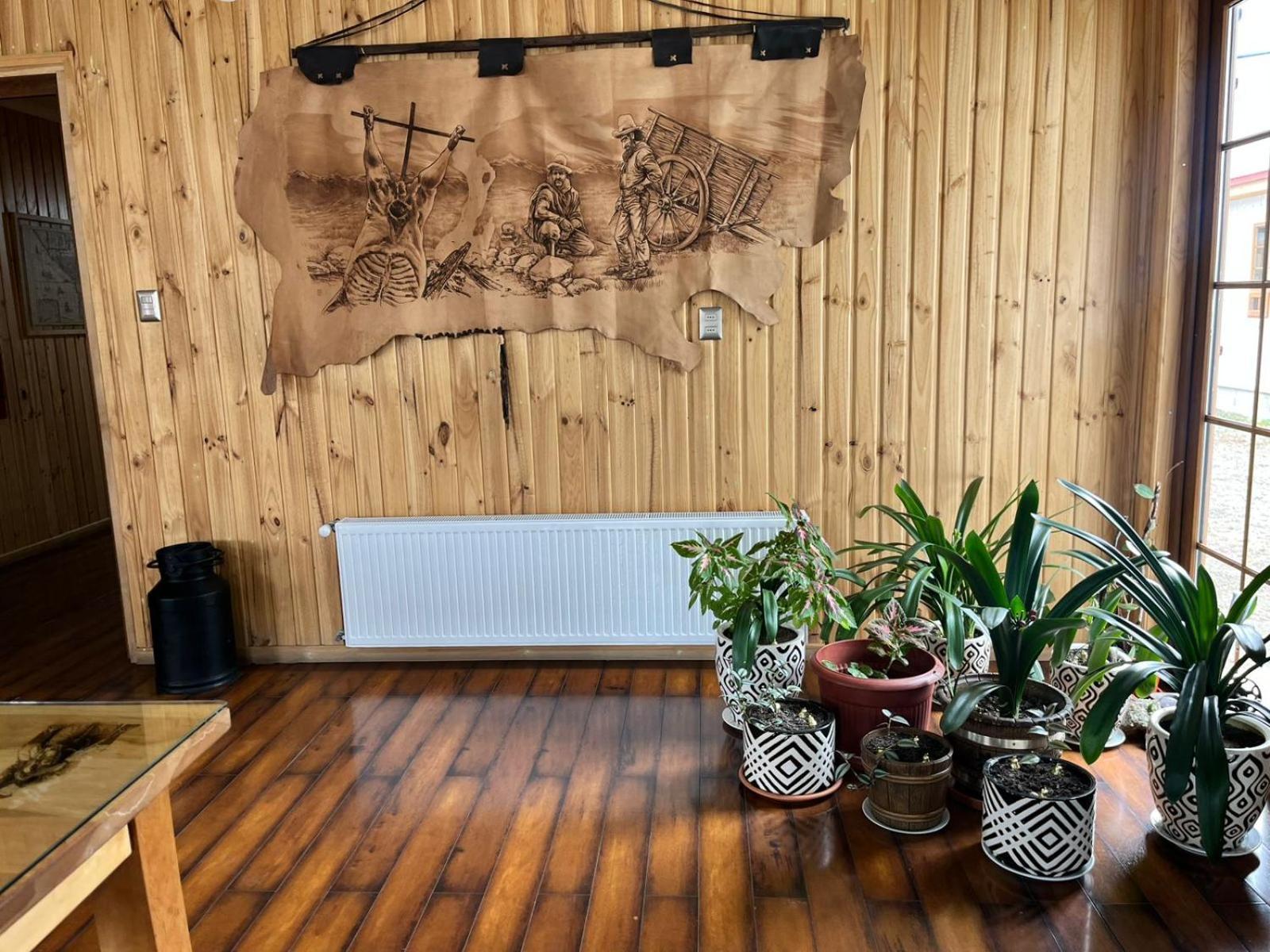 艾斯坦莎艾尔奥维罗帕特尼科酒店 Cerro Castillo 外观 照片